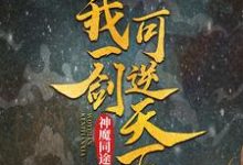 神魔同途:我一剑可逆天下(叶小川元小楼)在线免费阅读-干果文学