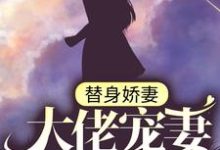 替身娇妻:大佬宠妻别太过(苏瓷傅南城)在线免费阅读-干果文学
