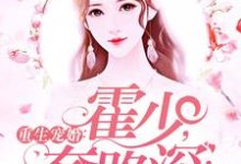宋辞霍慕沉小说《重生宠婚:霍少,套路深!》在线阅读-干果文学