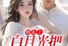 婚礼上,白月光把男友截胡了免费阅读,婚礼上,白月光把男友截胡了沈矜陈槿之-干果文学