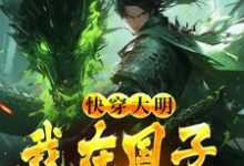 快穿大明:我在国子监当博士小说完结了吗?在哪里可以免费读到?-干果文学