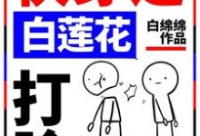 《快穿之白莲花打脸专业户》全集免费在线阅读(孟西梅孟何川小白)-干果文学
