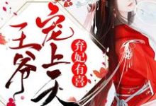 小说《弃妃有喜:王爷,宠上天》在线章节阅读-干果文学