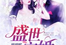求盛世宠婚小说免费资源-干果文学