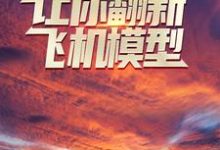 让你翻新飞机模型,你却打造幽灵战机?最新章节,让你翻新飞机模型,你却打造幽灵战机?免费阅读-干果文学