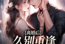 离婚后,久别重逢前夫跪求原谅小说,离婚后,久别重逢前夫跪求原谅在线阅读-干果文学