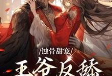 蚀骨甜宠:王爷反舔小妾室小说的免费阅读版本在哪里可以找到?-干果文学