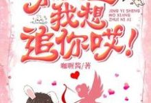 《景医生我想追你哎!》小说大结局免费试读 唐果果景朝阳小说-干果文学