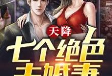 方墨柳如霜为主角的小说好看吗?求天降七个绝色未婚妻免费试读-干果文学