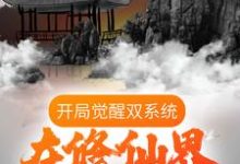 开局觉醒双系统,在修仙界放飞自我小说,开局觉醒双系统,在修仙界放飞自我唐天-干果文学
