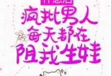 江稚沈律言的小说在哪里看?免费在线阅读怀崽后,疯批男人每天都在阻我生娃-干果文学
