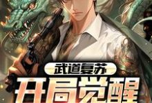 武道复苏:开局觉醒无双天赋苏鸿鸿小说免费阅读-干果文学