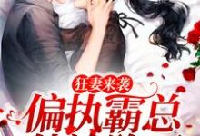 狂妻来袭,偏执霸总他沦陷了小说的最新章节在哪里更新?免费追踪阅读-干果文学