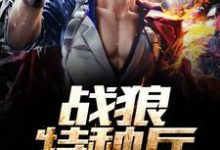 战狼特种兵小说的免费阅读版本在哪里可以找到?-干果文学
