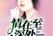 蒋诗曼南宇圳小说《情在至深处》在线阅读-干果文学