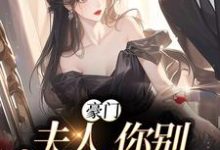 小说《豪门:夫人,你别丢下我》在线章节阅读-干果文学