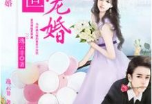 盛世宠婚免费阅读,盛世宠婚章节目录-干果文学