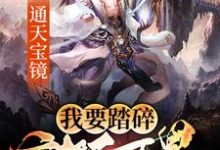 主角叫秦臻苏清小说通天宝镜:我要踏碎诸天万界章节免费阅读-干果文学