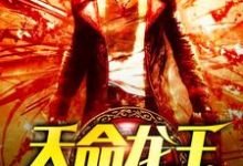 《天命龙王》小说章节列表免费试读,陈八荒魏子晴小说在线阅读-干果文学