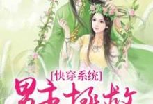 快穿系统:男主拯救计划小说免费资源,快穿系统:男主拯救计划在线阅读-干果文学