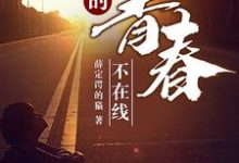 我的青春不在线小说阅读,我的青春不在线完结版-干果文学