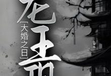 林见鹿龙冥渊为主角的小说好看吗?求大婚之日,龙王现免费试读-干果文学