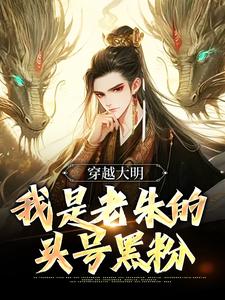 穿越大明：我是老朱的头号黑粉小说，穿越大明：我是老朱的头号黑粉朱军朱标朱元璋徐达