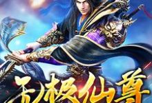 无极仙尊小说阅读,无极仙尊完结版-干果文学