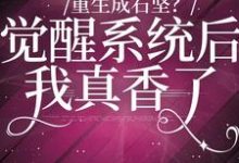 重生成石坚?觉醒系统我后真香了免费阅读,重生成石坚?觉醒系统我后真香了章节目录-干果文学
