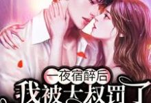 一夜宿醉后,我被大叔罚了100遍家规小说有没有完结版在线?-干果文学