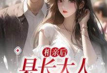 免费看相亲后,县长大人他忍不住了小说的网站有哪些?-干果文学
