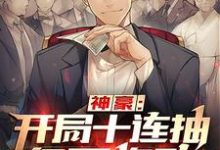 神豪:开局十连抽亿万奖励小说有没有完整的免费版本在线阅读?-干果文学