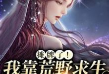 主角叫晏悄的小说在哪阅读-干果文学