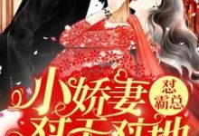 云薇暖厉啸寒小说《小娇妻怼天怼地怼霸总》在线阅读-干果文学