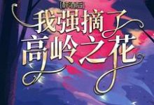醉酒后,我强摘了高岭之花小说,醉酒后,我强摘了高岭之花免费阅读-干果文学