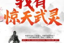 小说《我有惊天武灵》章节阅读-干果文学