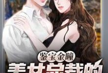 主人公高阳温婉婷小说鉴宝金瞳:美女总裁的贴身鉴宝师在线章节阅读-干果文学