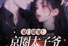 豪门甜宠!京圈太子爷是恋爱脑小说的无弹窗阅读体验,寻找免费阅读网站-干果文学