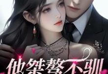 完结版《他桀骜不驯,却十分好撩》免费阅读-干果文学