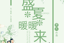 盛夏暖暖来小说最新章节在哪里可以读到?-干果文学