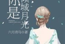 《你是倾城月光》小说主角宋月林弘弋沈连城陆敬乔章节章节免费在线阅读-干果文学
