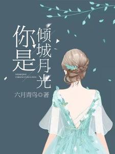 《你是倾城月光》小说主角宋月林弘弋沈连城陆敬乔章节章节免费在线阅读