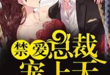 主角叫陌西染周延琛桃文白井城的小说在哪阅读-干果文学