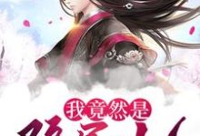 小说《我竟然是隐居仙人》章节免费阅读-干果文学