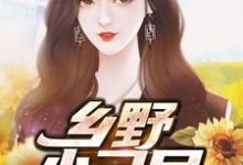 王大炮是哪本书的主角?乡野小刁民免费读-干果文学