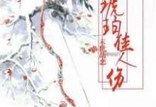 寻找能够免费阅读末世劫恋:琥珀佳人伤小说的平台-干果文学