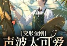 主角声波小说完结版在线阅读,变形金刚:声波太可爱了怎么办免费看-干果文学