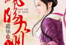 《凤临九州》小说大结局免费试读 落英唐傲小说-干果文学