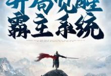 寻找能够免费阅读魂穿三国,开局觉醒霸主系统小说的平台-干果文学