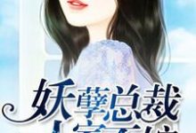 完结版《妖孽总裁,人家不嫁》在线免费阅读-干果文学